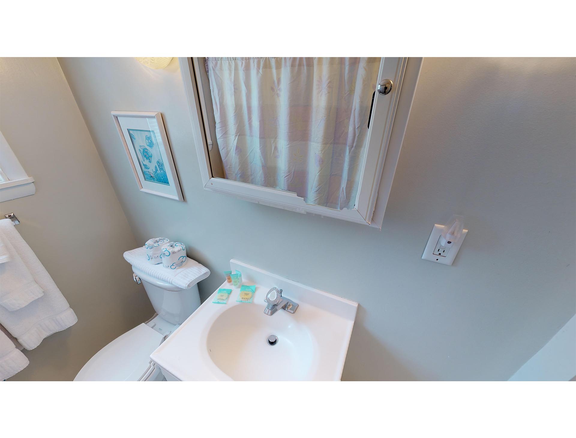 Isle Of Palms Home 1015150