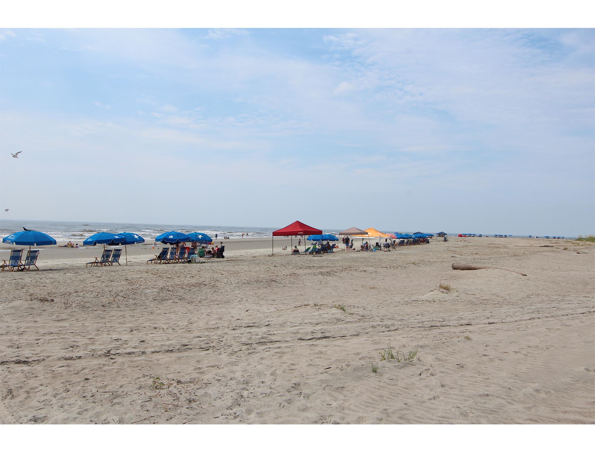 Isle Of Palms Condo 1015151