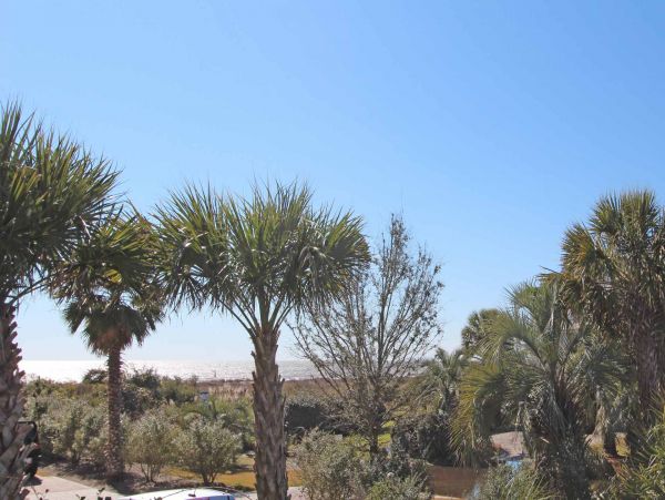 Isle Of Palms Home 1015169