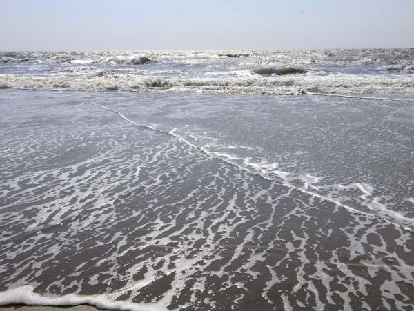 Isle Of Palms Home 1015192