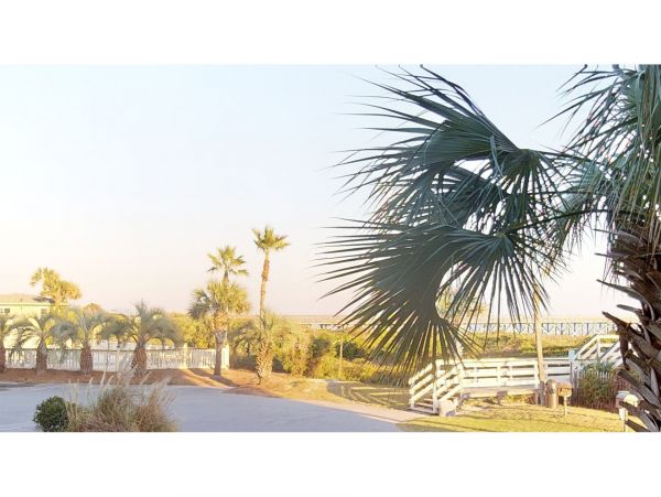 Isle Of Palms Condo 1015202