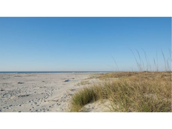 Isle Of Palms Condo 1015219