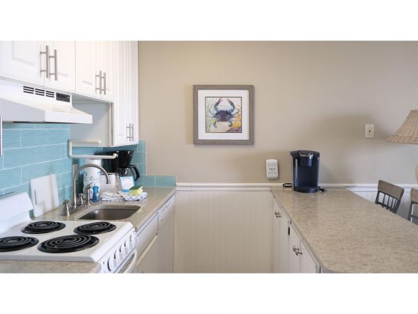 Isle Of Palms Condo 1015221