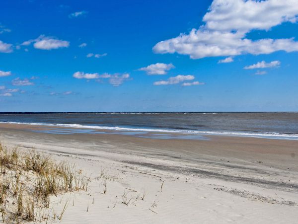 Isle Of Palms Condo 1015249
