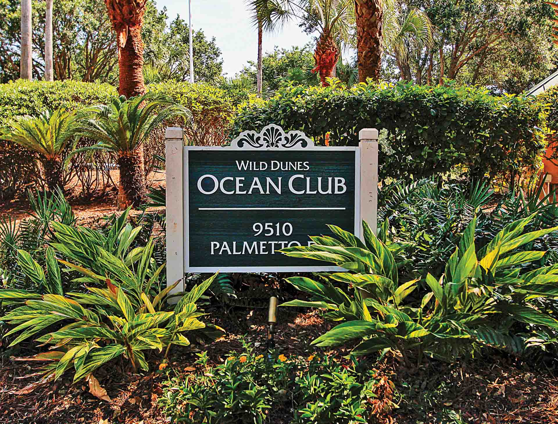 Isle Of Palms Condo 1015252
