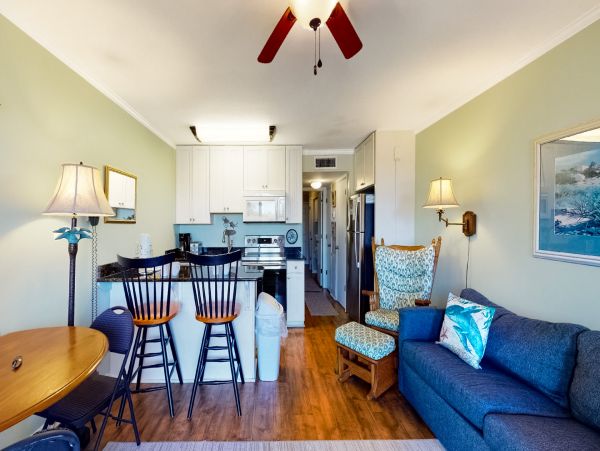 Isle Of Palms Condo 1015255
