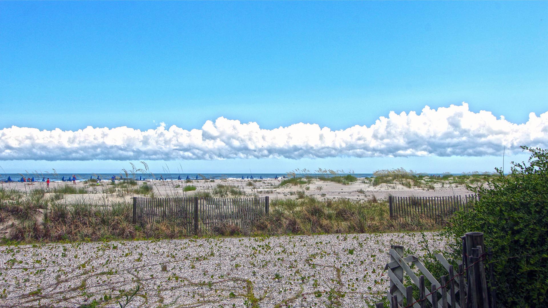 Isle Of Palms Condo 1015269