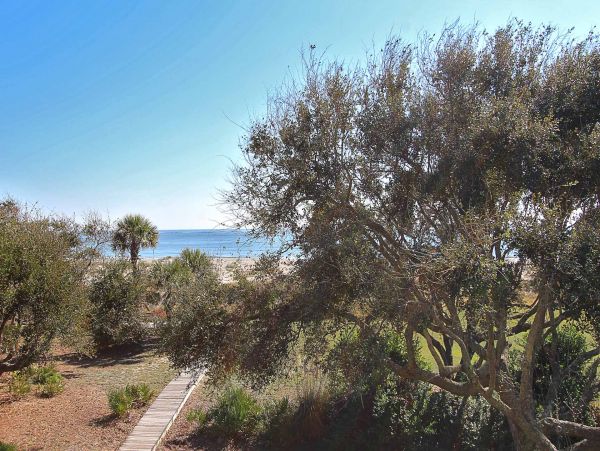 Isle Of Palms Condo 1015271