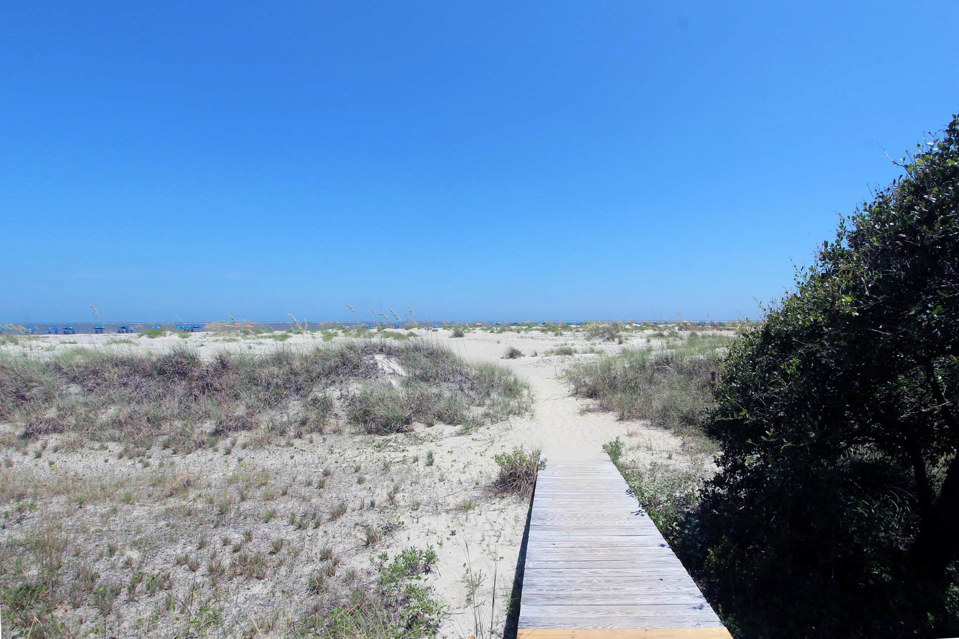 Isle Of Palms Condo 1015271
