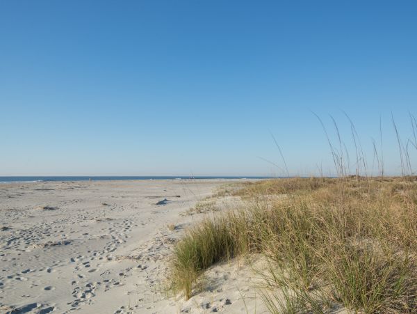 Isle Of Palms Condo 1015271