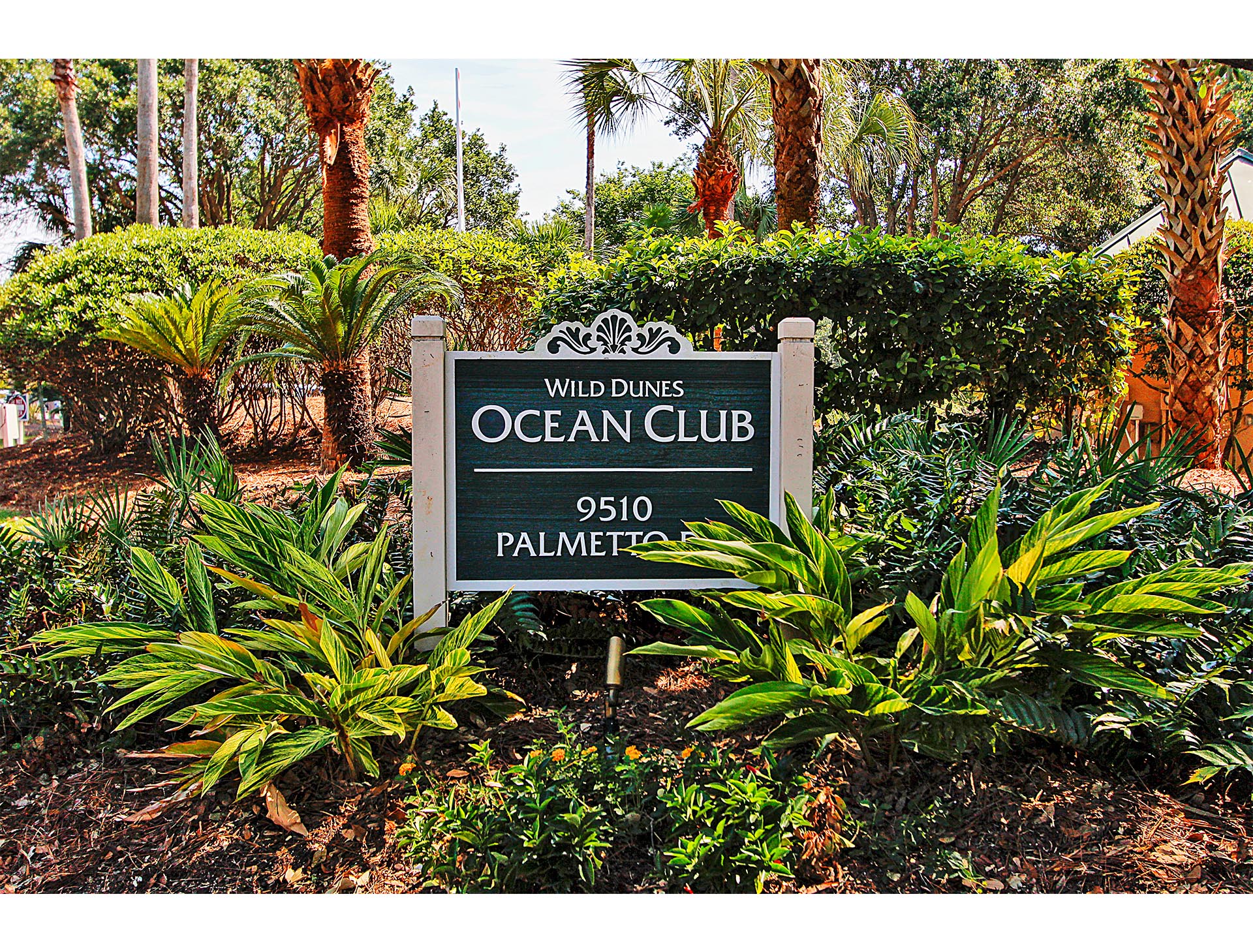 Isle Of Palms Condo 1015280