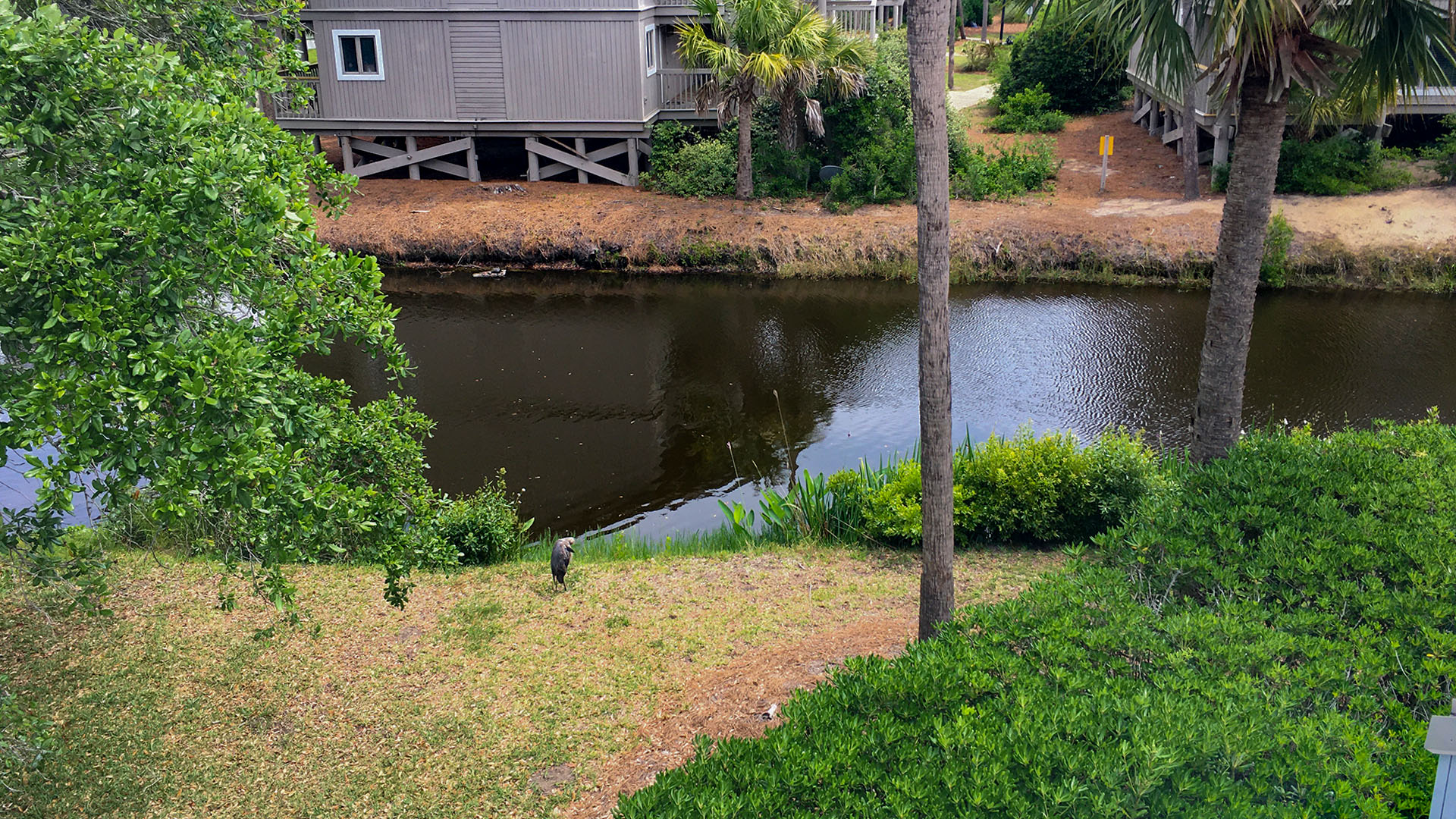 Isle Of Palms Condo 1015295