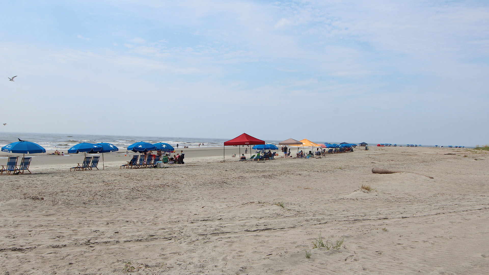 Isle Of Palms Condo 1015316