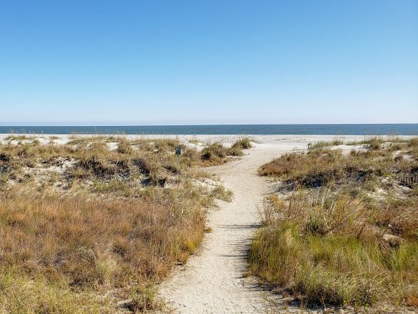 Isle Of Palms Condo 1015324