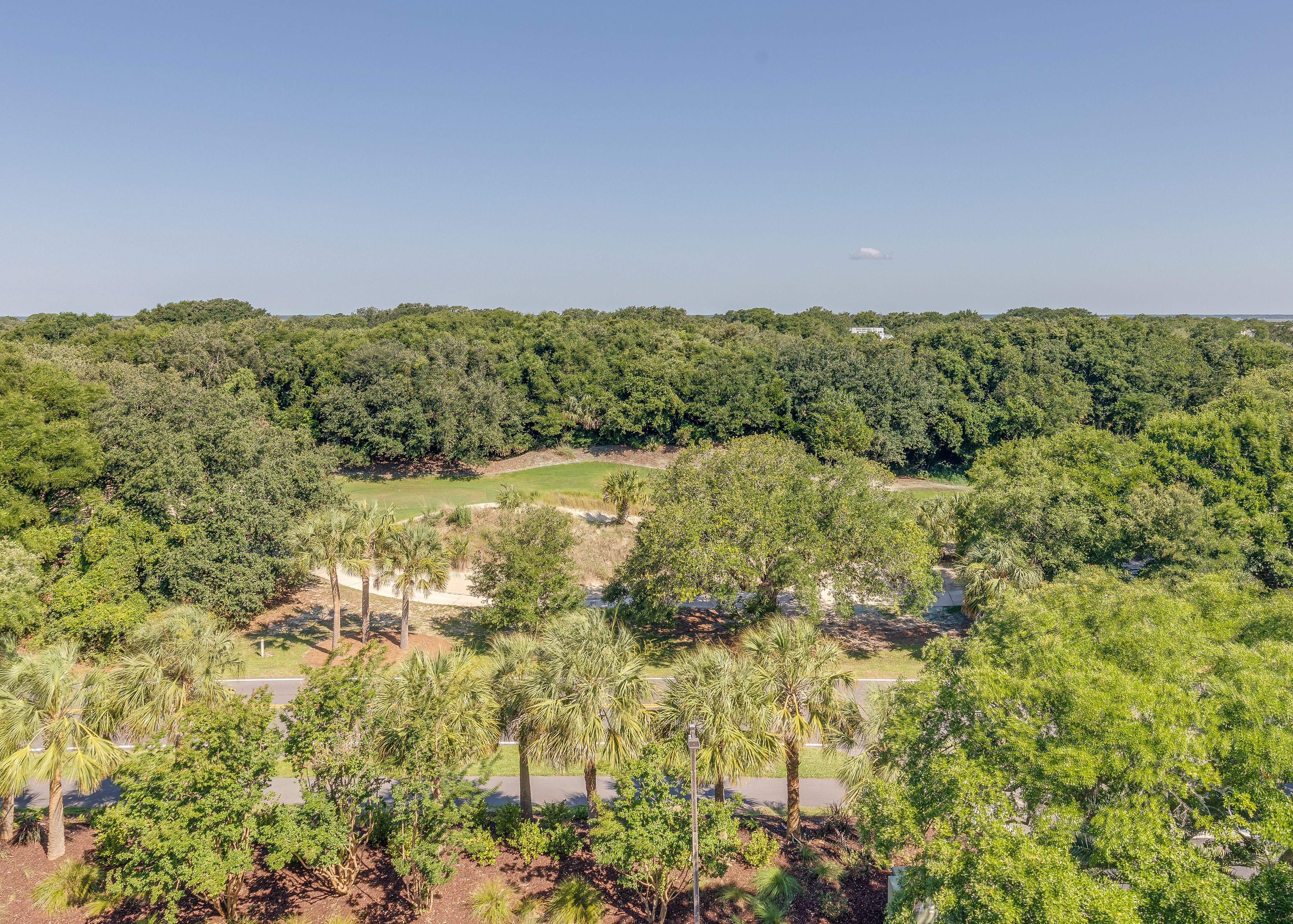 Isle Of Palms Condo 1015332