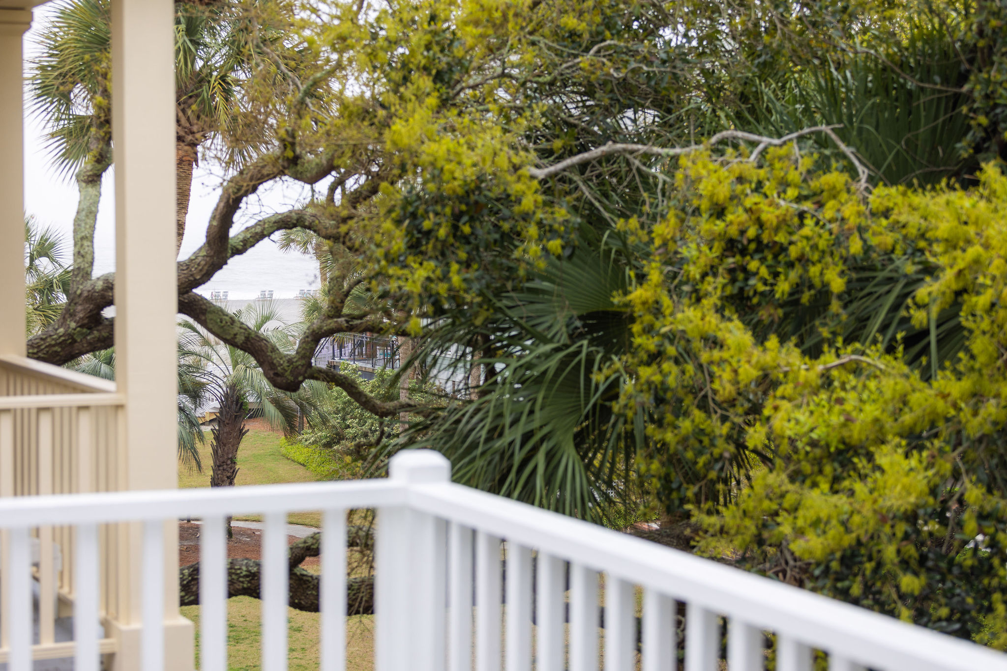 Isle Of Palms Home 1015354