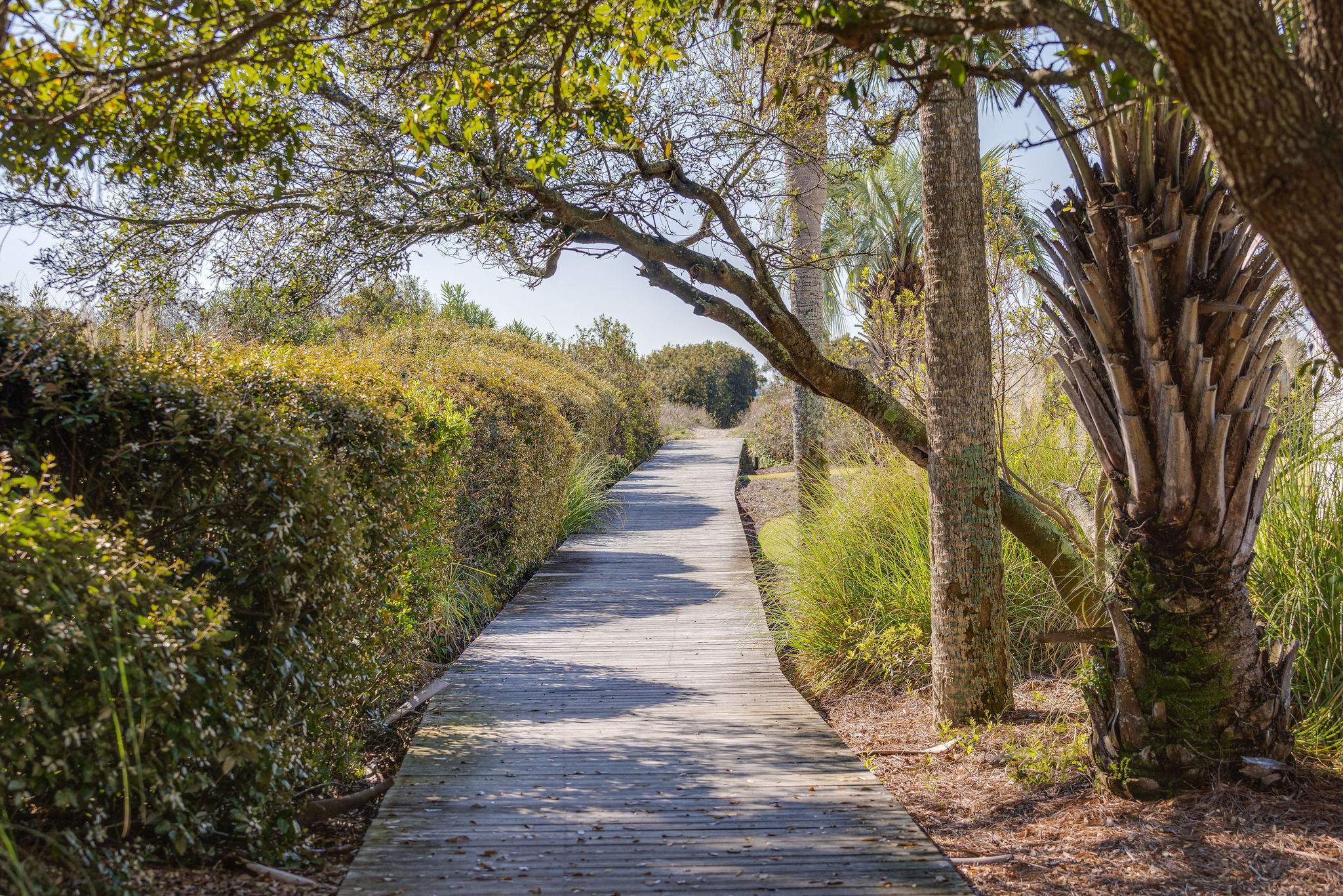 Stunning 5 Bedroom Vacation Home in Isle of Palms