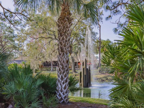 Sarasota Condo 1015377