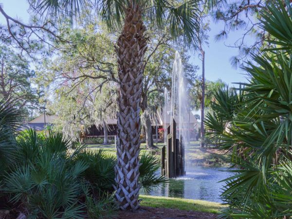 Sarasota Condo 1015378