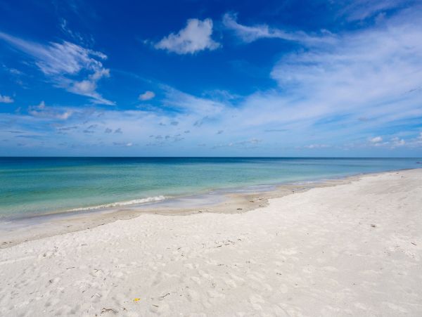 Charming 3 Bedroom Home in Sarasota Sleeps 7