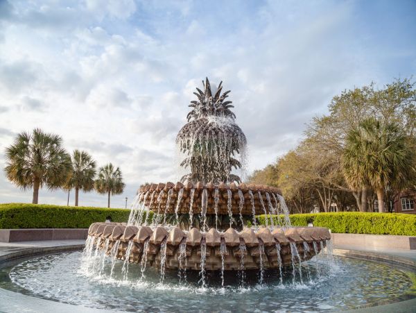 Charleston Condo 1015390