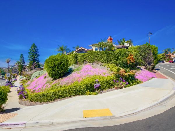 Lovely La Jolla Vacation Home 4 Bedrooms Sleeps 8 Guests