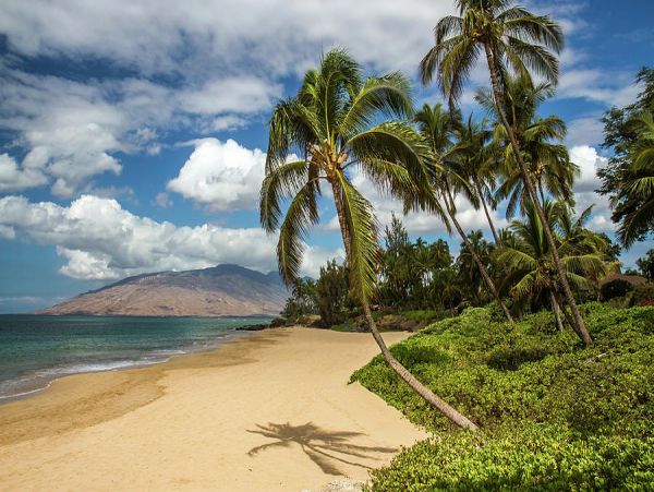 Kihei Two Bedroom Vacation Condo  Walk To Beach