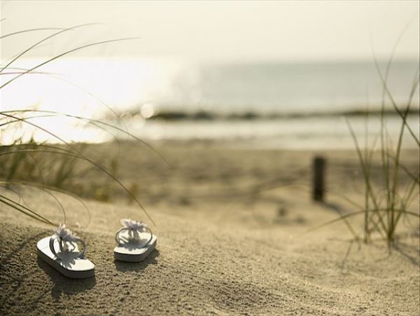 Hilton Head Condo 1015494