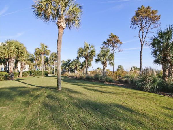 Hilton Head Condo 1015514