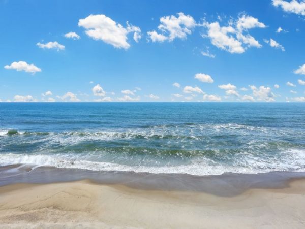 Myrtle Beach North Myrtle Beach Condo 1015518