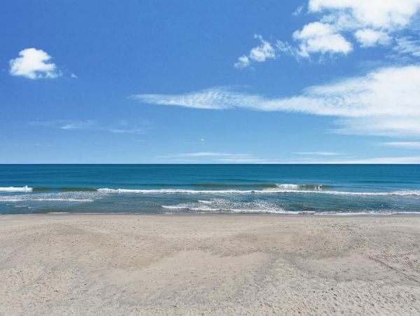 Myrtle Beach North Myrtle Beach Condo 1015535