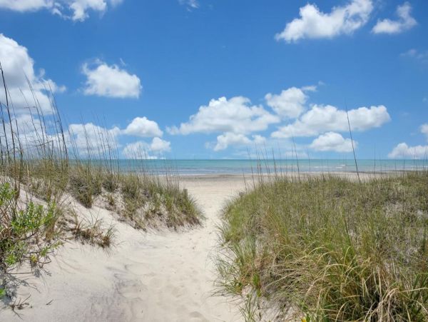 Myrtle Beach North Myrtle Beach Condo 1015543