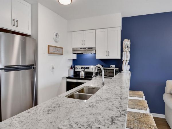 Myrtle Beach North Myrtle Beach Condo 1015546