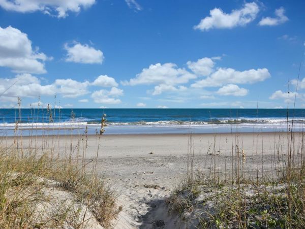 Myrtle Beach North Myrtle Beach Condo 1015556