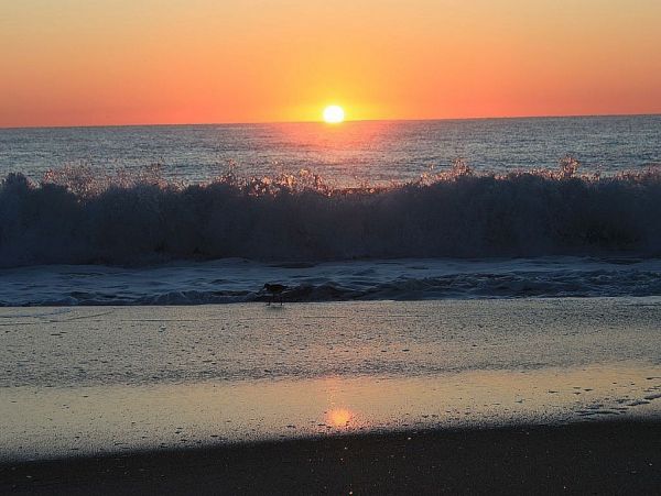 Myrtle Beach North Myrtle Beach Condo 1015570