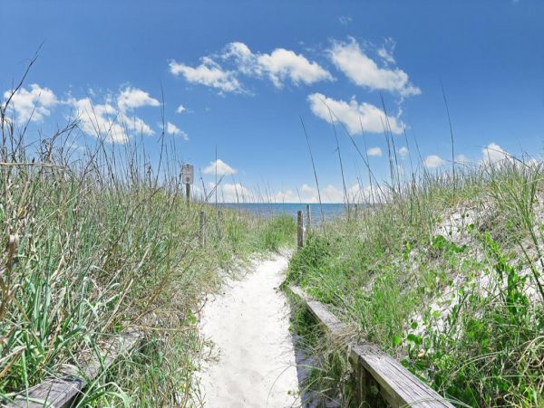 Myrtle Beach North Myrtle Beach Condo 1015584