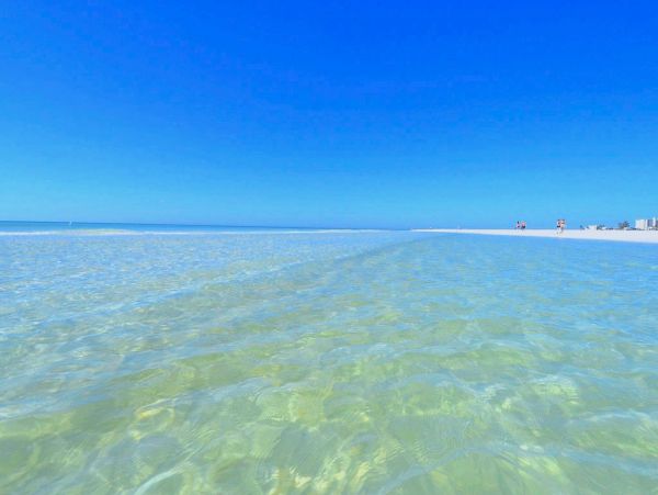 Siesta Key Condo 1015631