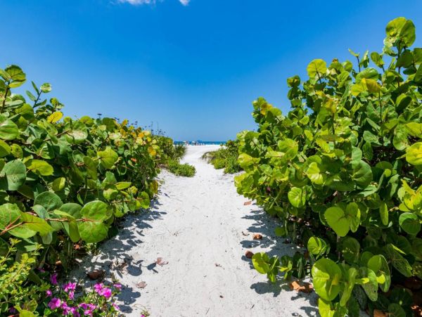 Siesta Key Condo Pool/ Walk to Beach Amenities.