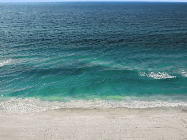 Coastal Comfort Retreat - Walk to Siesta Key Beach