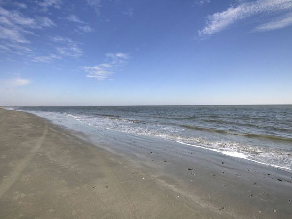 Oceanfront Isle of Palms Vacation Condo One Bedroom