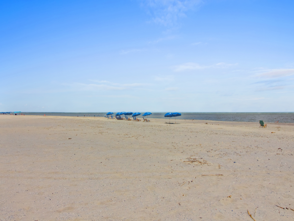 Isle of Palms Vacation Condo One Bedroom On Beach
