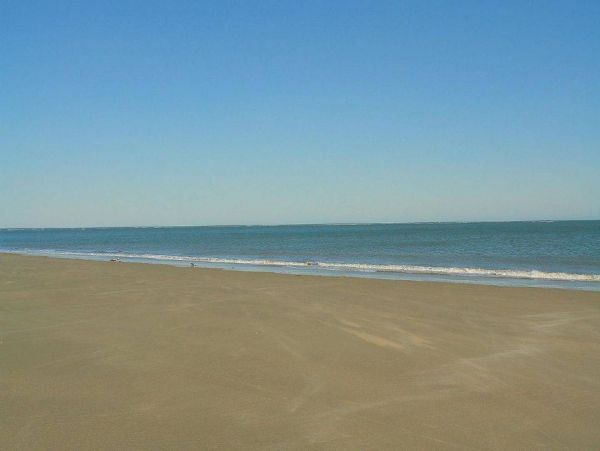 Isle Of Palms Condo 1015706