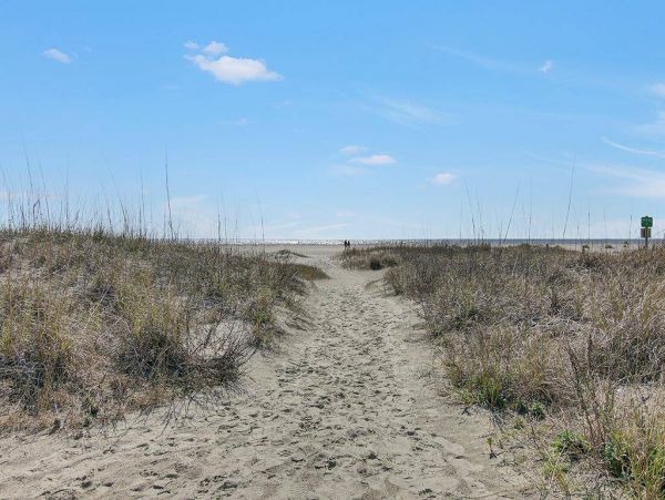 Isle of Palms Vacation Condo One Bedroom On Beach