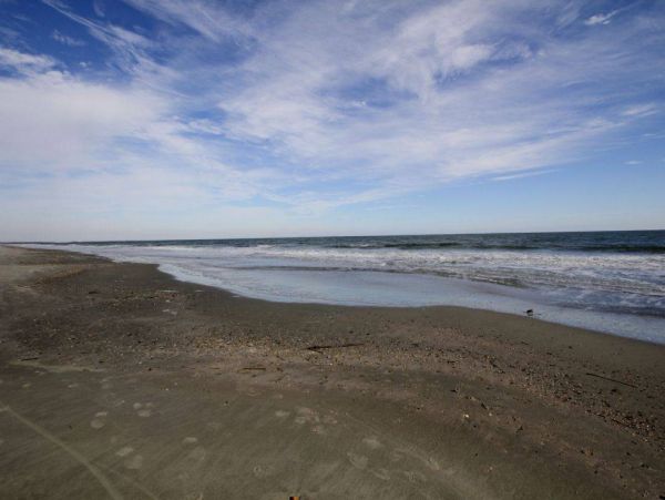 Isle Of Palms Condo 1015736