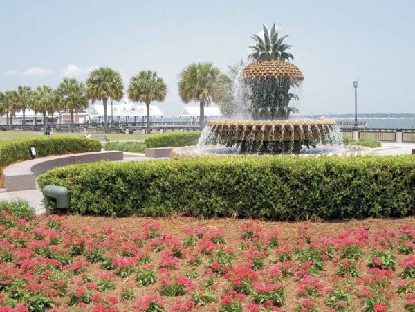 Isle Of Palms Condo 1015736