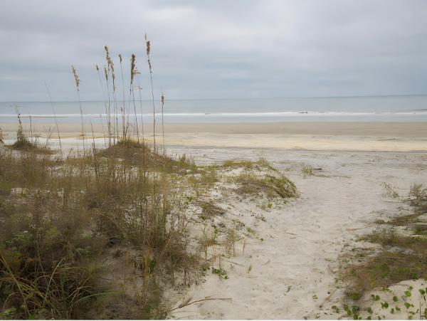 Isle of Palms Pure Luxury vacation Home Away From Home