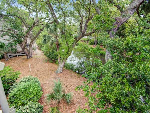 Isle Of Palms Condo 1015756