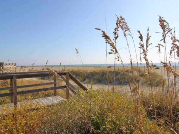 Isle Of Palms Condo 1015768