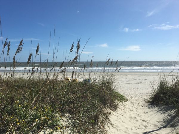 Luxurious Beach House in The Isle of Palms Five Bedroom