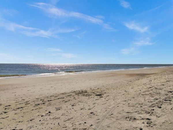 Isle Of Palms Condo 1015793